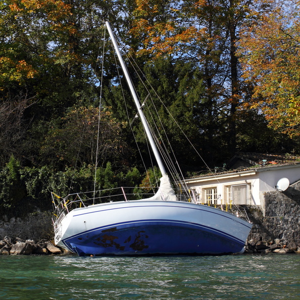 Le week-end du 27-28 octobre 2012, très venteux, aurait provoqué plus de 60 fortunes lacustres sur le canton de Genève, de nombreuses embarcations ayant rompu leurs amarres pour partir à la dérive. Comme on le voit ici, la plupart ne sont pas parties très loin. voilier_echoue_geneve.jpg