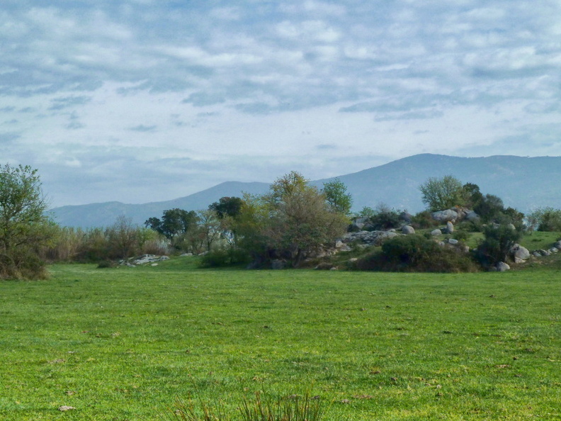 Paysage dans la région de Villaut, Ayguamolls, Catalogne. Surtout zones de pâturages avec quelques oliveraies et autres cultures. ayguamolls_villaut_1.jpg