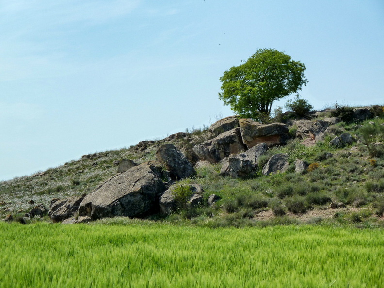Région aride proche de Balaguer, Lleida, Catalogne en Espagne. On voit que seules quelques buttes avec de gros rochers ont été épargnées par les bulldozers qui ont nivelé le terrain pour laisser la place aux champs de blés. lleida_balaguer_1.jpg