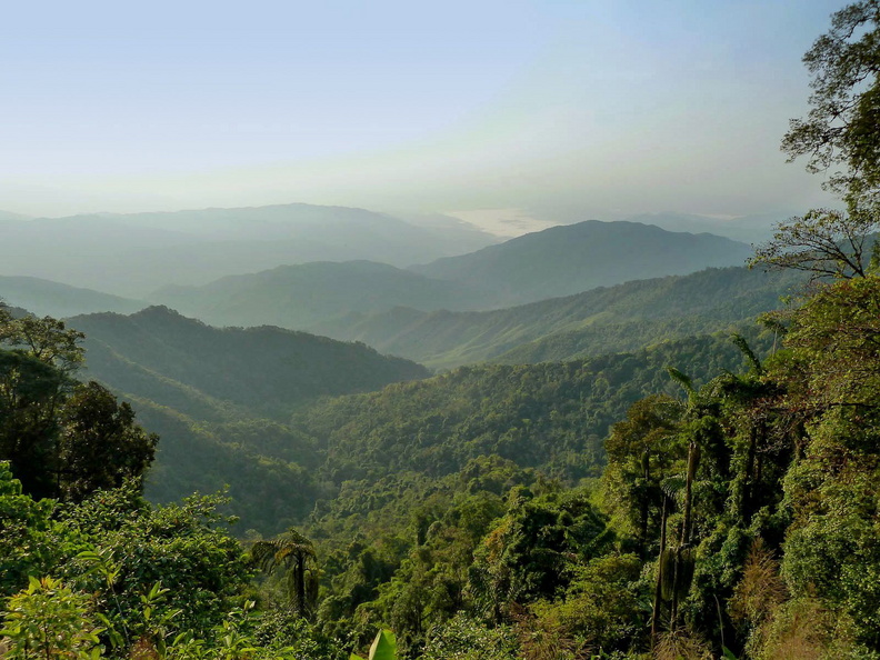 Point de vue sur la forêt au Nord de la Thailande, proche du Laos. Parc national de Doi Phu Kha. doi_phu_ka.jpg