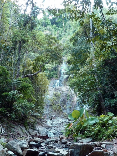 Kao Phanom Bencha, parc national à une trentaine de kilomètres de Krabi, abriterait toutes sortes d'espèces rares, dont la Panthère longibande. Inutile de dire que ma brève visite d'une journée (dont la moitié suivi par un chien) sur les quelques kilomètres de sentiers, ne m'aura pas permis d'apercevoir ce genre d'animaux... kao_phanom_bencha.jpg