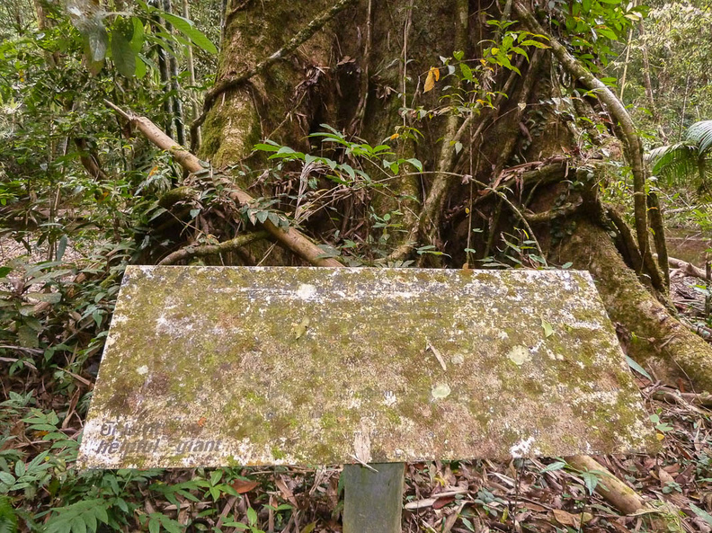 La réserve de faune de Klong Naka ne semble guère fréquentée par les touristes si l'on en juge par l'état des panneaux d'information du sentier! klong_naka_panneau_information.jpg