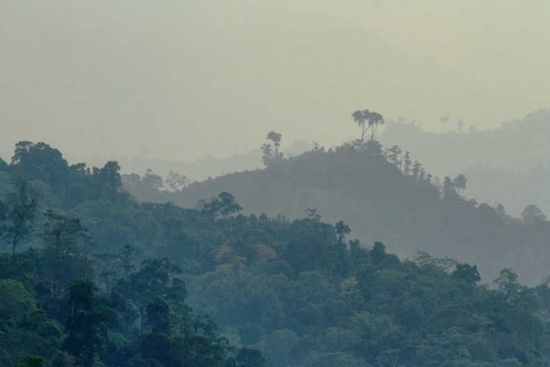 Le parc de Mae Wong représente un des seuls accès relativement aisé au sein de la grande zone forestière qui s'étend entre le Myanmar, Umphang et Sanklaburi en Thailande. Début 2013 la route qui mène au sommet est déja localement un peu difficile pour une petite voiture basse. Une route existait entre le camp proche du sommet du parc et la ville d'Umphang, mais elle est désormais dificile à suivre à pied au delà de quelques centaines de mètres. mae_wong_2.jpg