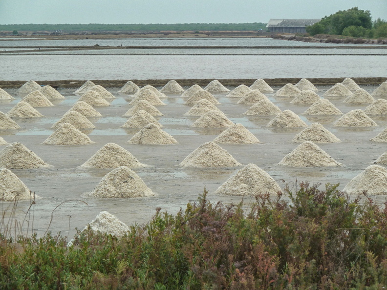 Les tas de sables ont été formés, avant d'être chargés et vendus. laem_pak_bia_salines.jpg